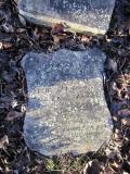 image of grave number 364887